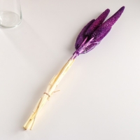 Набор сухоцветов "Африканское просо", банч 3-5 шт, длина 60 (+/- 6 см), фиолетовый