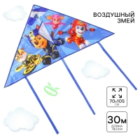 Воздушный змей &laquo;Гончик и друзья&raquo;, Paw Patrol, 70х105 см