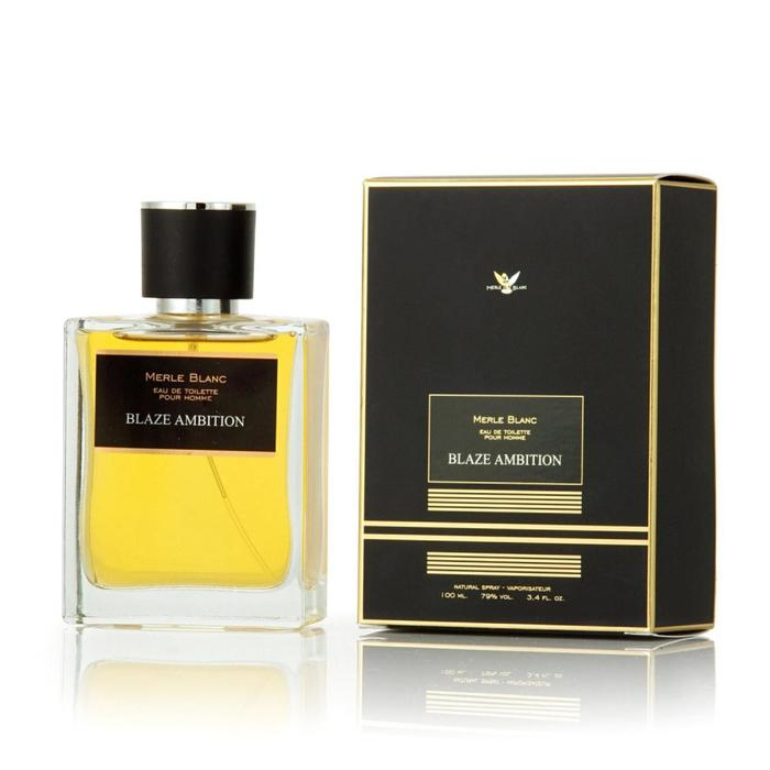Туалетная вода мужская Merle blanc BLAZE AMBITION, 100 мл Туалетная вода мужская Merle blanc BLAZE AMBITION, 100 мл