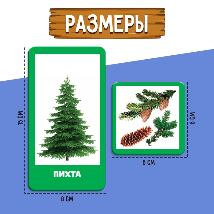 Развивающий набор «Хвойные и лиственные деревья» Развивающий набор «Хвойные и лиственные деревья»