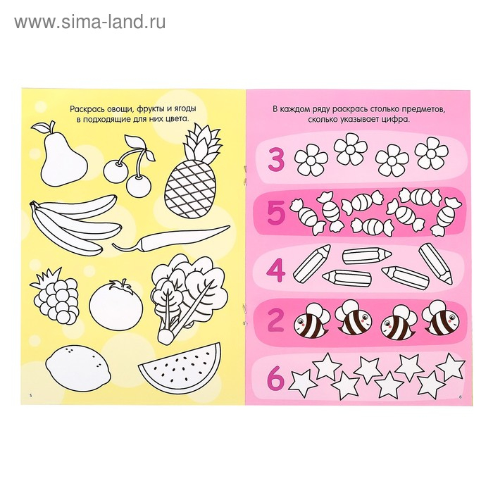 Раскраска многоразовая набор &laquo;Рисуй-стирай. Для девочек&raquo; 2 шт. по 12 стр.