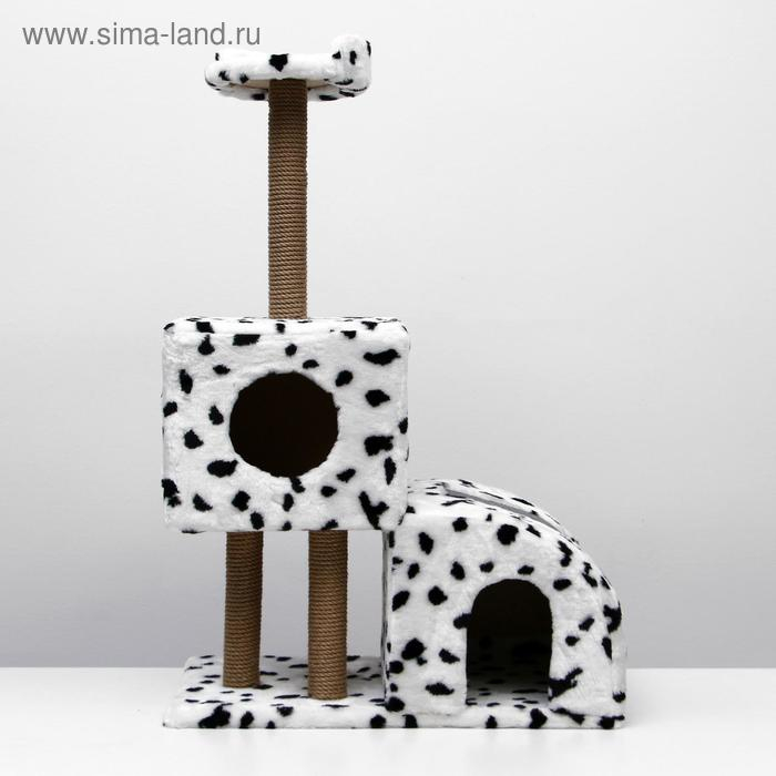 Домик для кошек с когтеточкой Домик для кошек с когтеточкой "Двухуровневый", 72 х 37 х 110 см, джут, далматинец