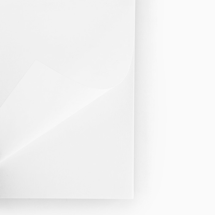 Скетчбук &laquo;Котобук&raquo; А5, 40 л, 100 г/м