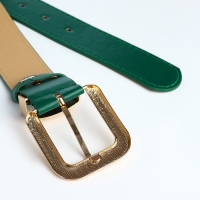 Ремень женский, ширина 3 см, пряжка металл, цвет Ремень женский, ширина 3 см, пряжка металл, цвет