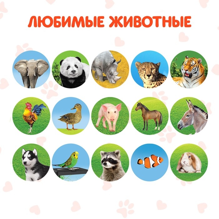 Проектор-фонарик &laquo;Команда Мяу: Изучаем животных&raquo;