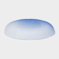 Тарелка - блюдо подстановочное &laquo;Лотос&raquo;, d=23 см, цвет синий