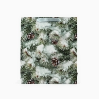 Пакет подарочный новогодний ламинированный &laquo;Зимняя ель&raquo;, M 26 х 30 х 9 см , Новый год