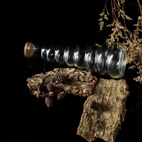 Бутылка стеклянная для соусов и масла с пробковой крышкой Доляна «Парфе. Гармонь», 400 мл, 21,8×7,5 см Бутылка стеклянная для соусов и масла с пробковой крышкой Доляна «Парфе. Гармонь», 400 мл, 21,8×7,5 см