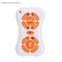 Робот собака &laquo;Умный питомец&raquo; ZHORYA, на пульте управления, интерактивный: звук, свет, танцующий, музыкальный, на батарейках, на русском языке, бело-голубой