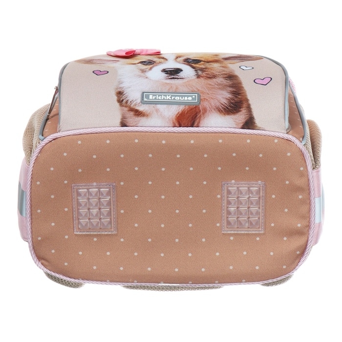 Ранец школьный на замке, 37 х 25 х 14 см, Erich Krause ErgoLine 15L, Corgi Puppy 60084 Ранец школьный на замке, 37 х 25 х 14 см, Erich Krause ErgoLine 15L, Corgi Puppy 60084