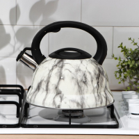 Чайник со свистком из нержавеющей стали Доляна &laquo;Каррар&raquo;, 2,8 л