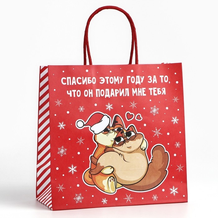 Пакет подарочный новогодний &laquo;Спасибо этому году&raquo;, 22 х 22 х 11 см