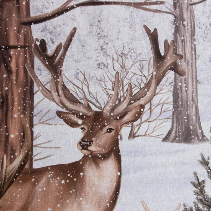 Постельное белье Этель 1.5 сп &laquo;Олени&raquo; 143*215 см, 150*214 см, 70*70 см - 2 шт