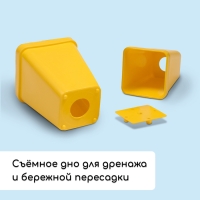 Набор для рассады: стаканы по 200 мл (18 шт.), поддон 36,5 &times; 17 см, цвет МИКС, Greengo