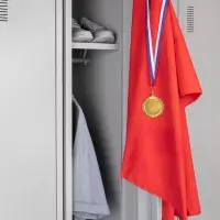 Медаль Regalia, большая, золотистая