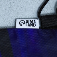 Мешок для обуви &laquo;Гонщик&raquo; болоньевый материал, 30 х 40 см