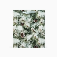 Пакет подарочный новогодний ламинированный &laquo;Зимняя ель&raquo;, M 26 х 30 х 9 см , Новый год