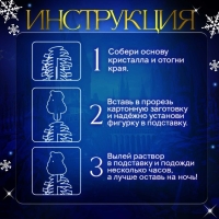 Набор для опытов «Новогодние кристаллы», змейка-волшебница Набор для опытов «Новогодние кристаллы», змейка-волшебница
