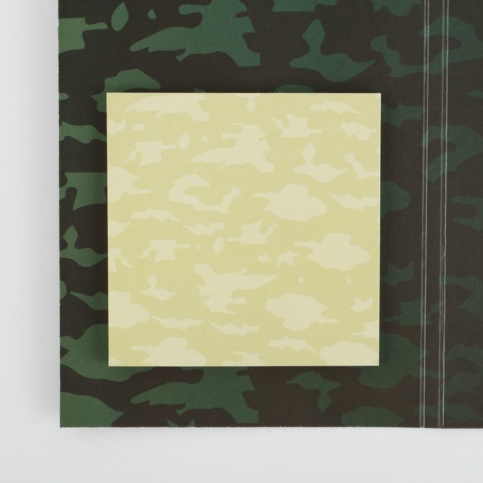 Подарочный набор &laquo;С Днем Защитника Отечества&raquo;: ручка пластик с фигурным клипом и стикеры