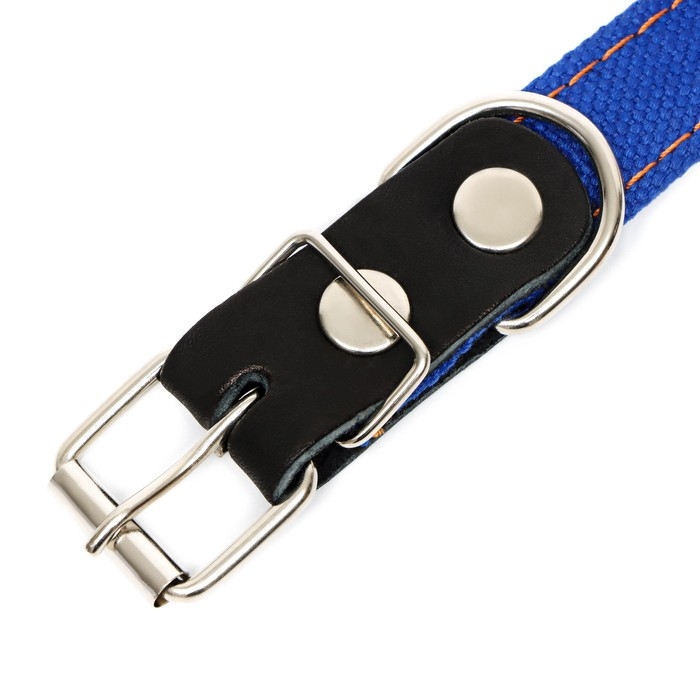 Ошейник брезентовый с подкладом, 57 х 2,5 см, ОШ 35-45 см, синий Ошейник брезентовый с подкладом, 57 х 2,5 см, ОШ 35-45 см, синий
