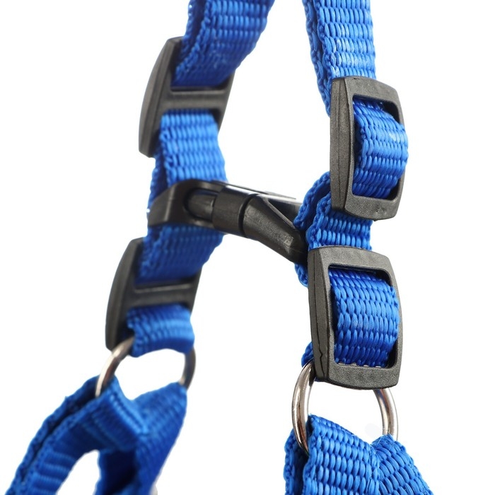 Шлейка "Комфорт" комбинированная, 2 см, ОШ 40-58 см, ОГ 46-60 см, синяя