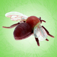 Набор насекомых «Лесные», 5 штук Набор насекомых «Лесные», 5 штук