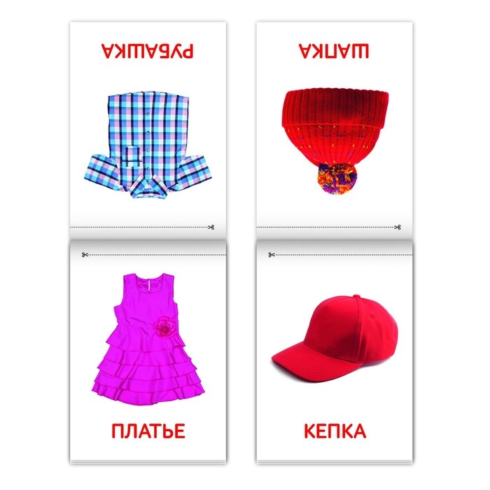 Книги &laquo;Карточки Домана. Окружающий мир&raquo;, набор, 8 шт. по 20 стр.