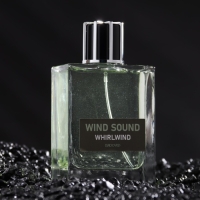 Туалетная вода мужская "Звук Ветра", "Смерч", 100 мл Туалетная вода мужская "Звук Ветра", "Смерч", 100 мл