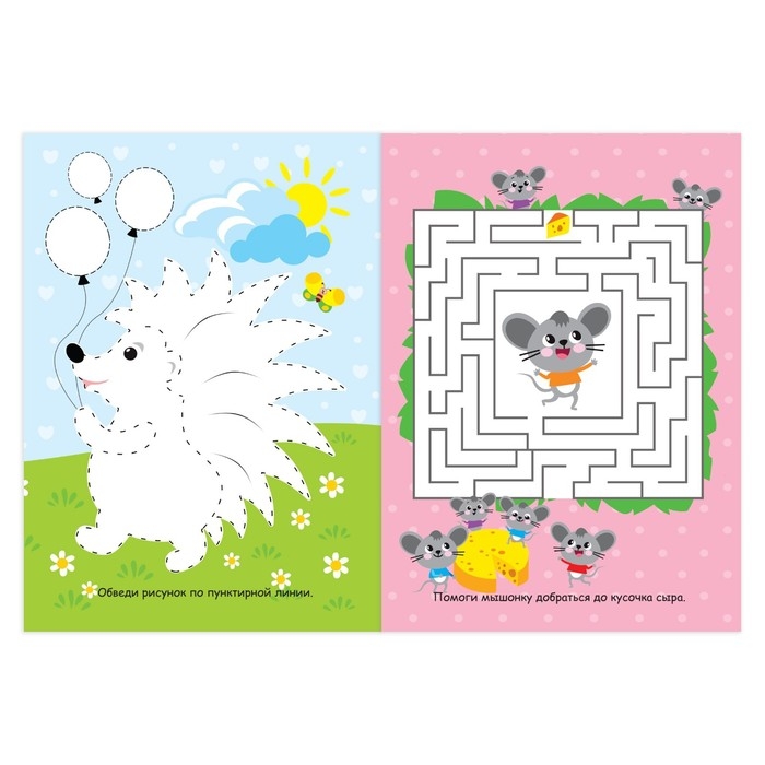 Набор книг с маркерами &laquo;Пиши-стирай. Для девочек&raquo; 2 шт. по 12 стр.