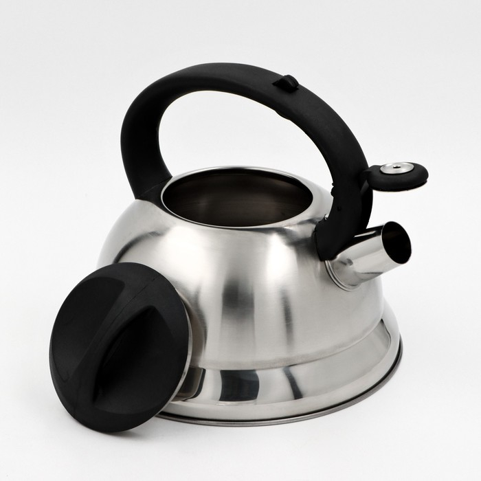 Чайник со свистком из нержавеющей стали Доляна &laquo;Рио&raquo;, 2,8 л, фиксированная ручка, цвет хромированный