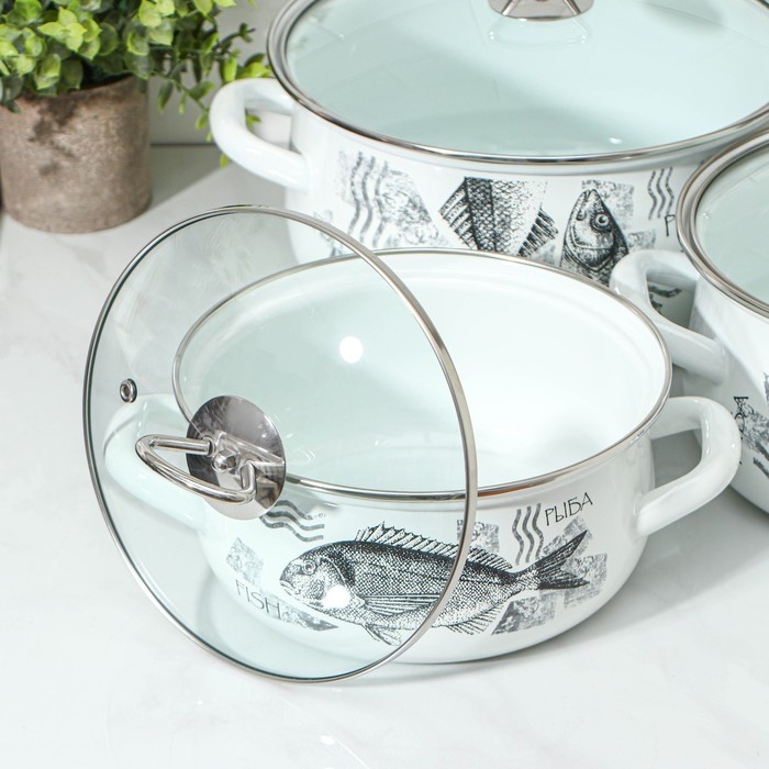 Набор кастрюль &laquo;Рыба&raquo;, 3 предмета: 2 л, 3 л, 4 л, стеклянные крышки, индукция