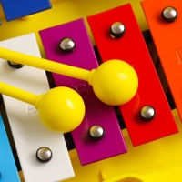 Музыкальный инструмент Металлофон Music Life, 25 тонов, футляр, 2 палочки, желтый Музыкальный инструмент Металлофон Music Life, 25 тонов, футляр, 2 палочки, желтый