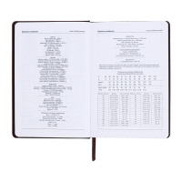 Ежедневник недатированный, А5, 140л, клетка, обл.кожзам, Стиль, темно-серый