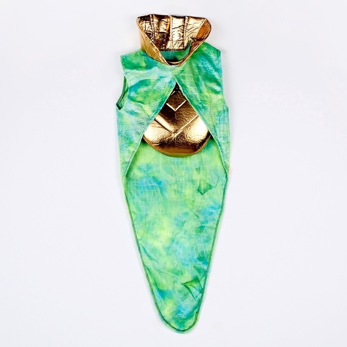 Карнавальный костюм детский &laquo;Новогодний змей&raquo;: жилетка, нагрудник, шапка, нарукавники, рост 116-128 см