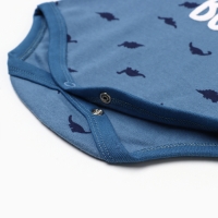 Боди детское с длинным рукавом "Дино", цвет голубой, рост 74 Боди детское с длинным рукавом "Дино", цвет голубой, рост 74