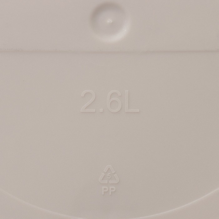 Горшок для цветов с поддоном Saffron, 2,6 л, d=17,6 см, h=16,2 см, пластиковый, цвет бежевый Горшок для цветов с поддоном Saffron, 2,6 л, d=17,6 см, h=16,2 см, пластиковый, цвет бежевый