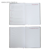 Ежедневник недатированный А4, 136 листов Sidney Nebraska, твёрдая обложка, искусственная кожа, золотой срез, ляссе, зелёный Ежедневник недатированный А4, 136 листов Sidney Nebraska, твёрдая обложка, искусственная кожа, золотой срез, ляссе, зелёный