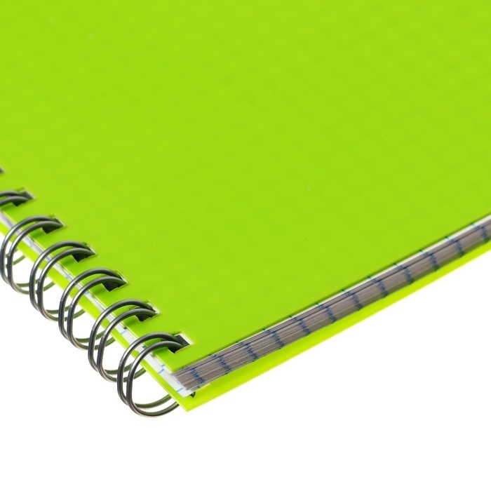 Тетрадь на гребне A5 48 листов в клетку Calligrata Салатовая, пластиковая обложка, блок офсет Тетрадь на гребне A5 48 листов в клетку Calligrata Салатовая, пластиковая обложка, блок офсет