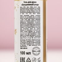 Подарочный набор косметики &laquo;Чудесного Нового Года&raquo;, гель для душа 100 мл и соль для ванны 100 г, аромат зимней ванили, ЧИСТОЕ СЧАСТЬЕ