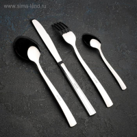 Набор столовый &laquo;Торжество&raquo;, толщина 2 мм, декоративная коробка, 48 предметов, цвет серебряный