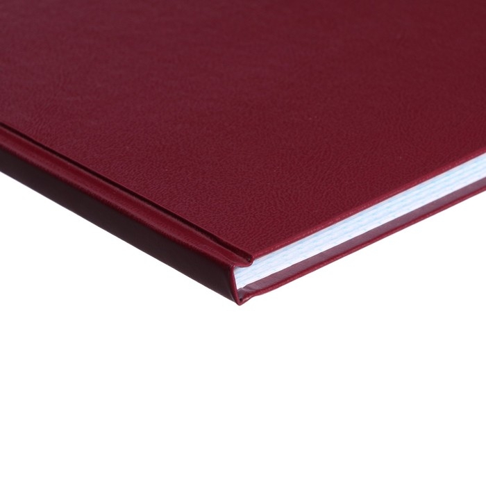 Книга учета, 96 листов, обложка бумвинил, блок ОФСЕТ, клетка, цвет бордовый Книга учета, 96 листов, обложка бумвинил, блок ОФСЕТ, клетка, цвет бордовый