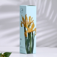 Диффузор ароматический,  "Iris", ирис, 100 мл