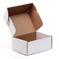 Коробка самосборная, белая, 22 х 16,5 х 9,5 см