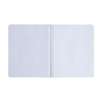 Тетрадь 48 листов в клетку на гребне "Гарри Поттер", обложка мелованный картон, матовая ламинация, 3D фольга, блок офсет, 4 вида МИКС Тетрадь 48 листов в клетку на гребне "Гарри Поттер", обложка мелованный картон, матовая ламинация, 3D фольга, блок офсет, 4 вида МИКС