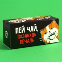 Чай чёрный «Пей чай!» с чабрецом, 25 шт. х 2 г. Чай чёрный «Пей чай!» с чабрецом, 25 шт. х 2 г.