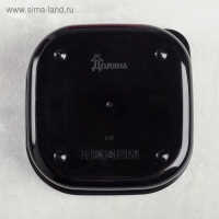 Ланч-бокс &laquo;Кот&raquo;, 700 мл