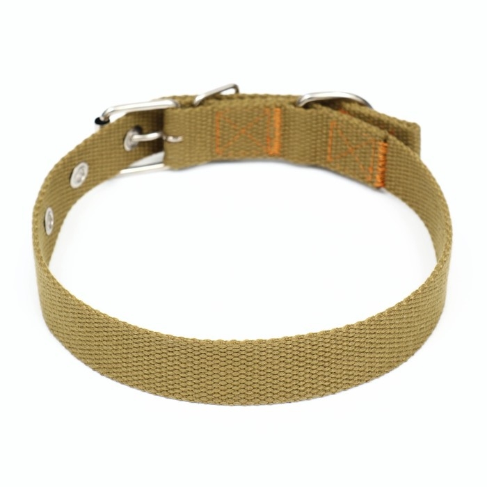 Ошейник брезентовый однослойный, 52 х 2 см, песочный Ошейник брезентовый однослойный, 52 х 2 см, песочный