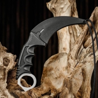 Нож-керамбит "Коготь орла" 20см, клинок 90мм/3,2мм, серебристый Нож-керамбит "Коготь орла" 20см, клинок 90мм/3,2мм, серебристый