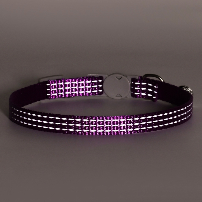 Ошейник кошачий светоотражающий, 19-32 х 1 см, фиолетовый Ошейник кошачий светоотражающий, 19-32 х 1 см, фиолетовый