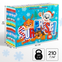 Новый год. Пакет-коробка "Surprise", 15х40х30 см, Paw Patrol Новый год. Пакет-коробка "Surprise", 15х40х30 см, Paw Patrol